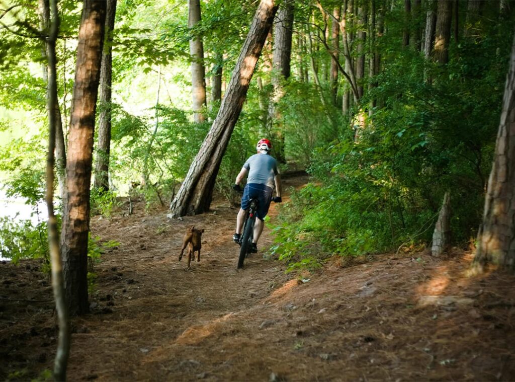 cycling