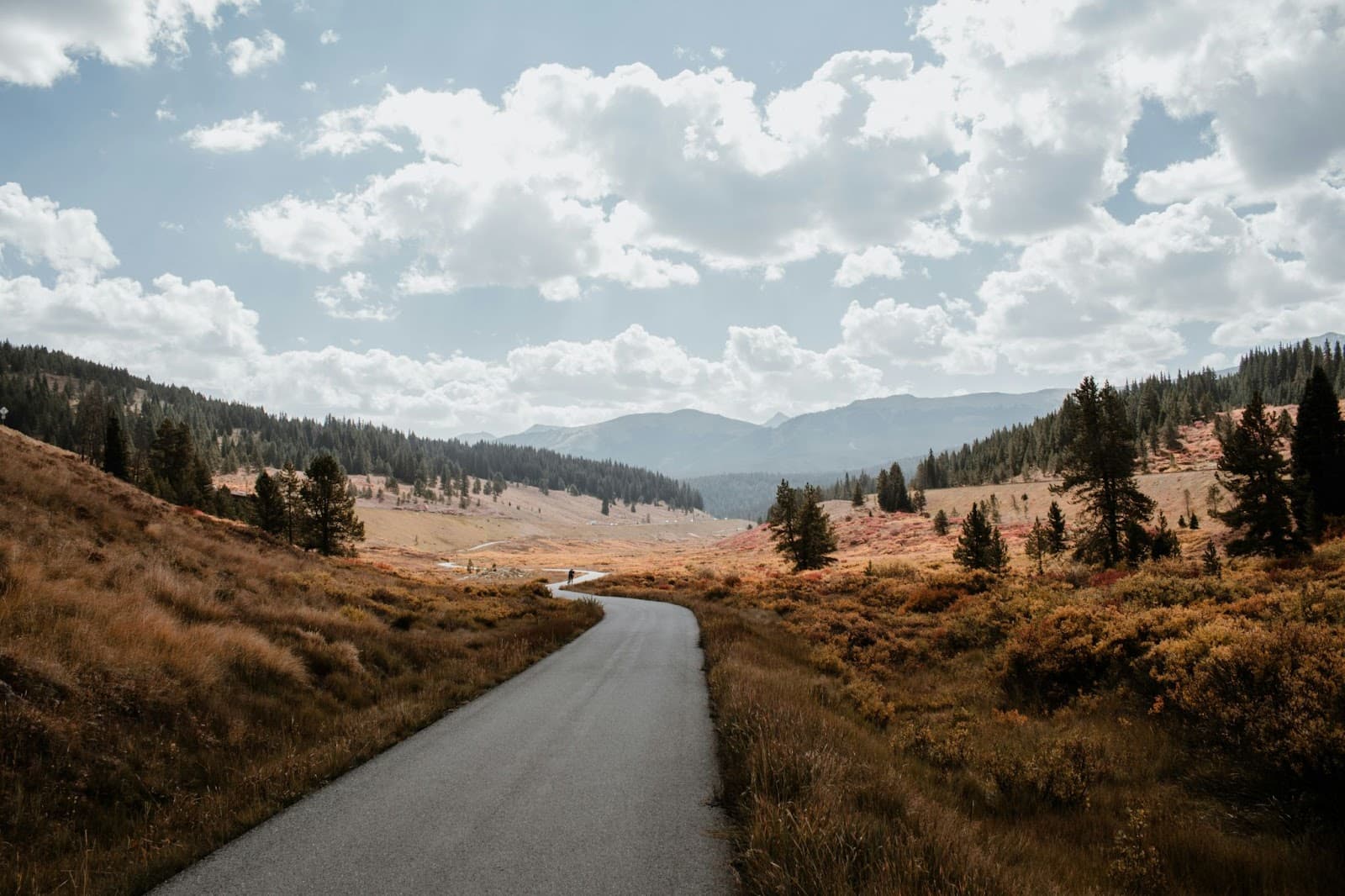 Why Colorado is a Dream Destination for Road Bikers